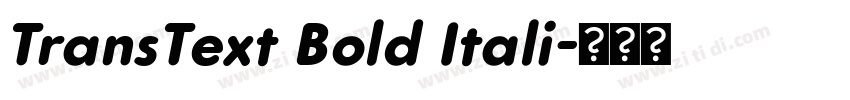 TransText Bold Itali字体转换